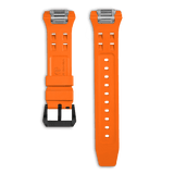 Colección Atómica Correa Intercambiable