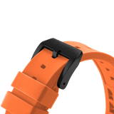 Colección Atómica Correa Intercambiable